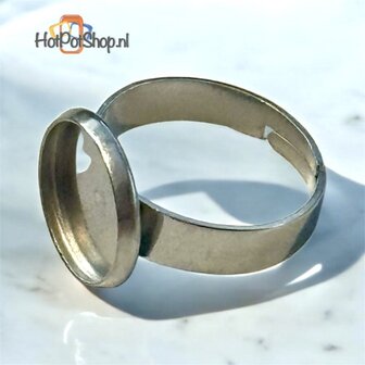 rvs ring met schotel