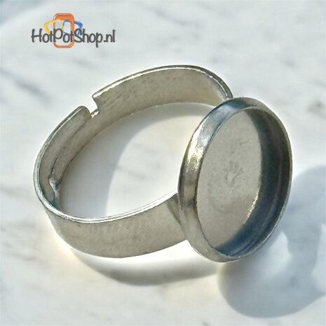rvs ring met schotel
