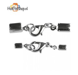 metalen klemmetjes met sluiting (2 stuks)