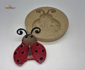 vermiculite mal Ladybug - Lieveheerstbeestje